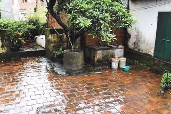 Góc sân ngày mưa ngâu. Ảnh: HOÀNG THU PHỐ