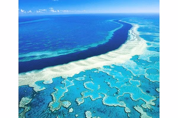 Rạn san hô Great Barrier ở Australia. Ảnh: GETTY