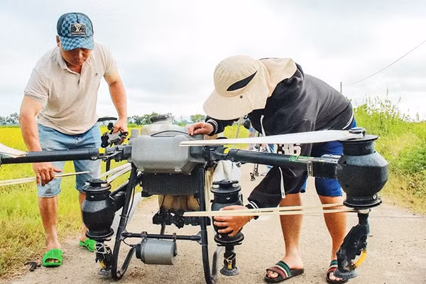 Ứng dụng thiết bị bay không người lái (flycam) trong sản xuất nông nghiệp giúp giảm sức lao động cho nông dân Ia Hiao. Ảnh: VŨ CHI