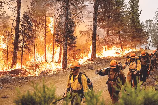 Cháy rừng đang diễn ra khốc liệt tại Mỹ. Ảnh: THE HILL