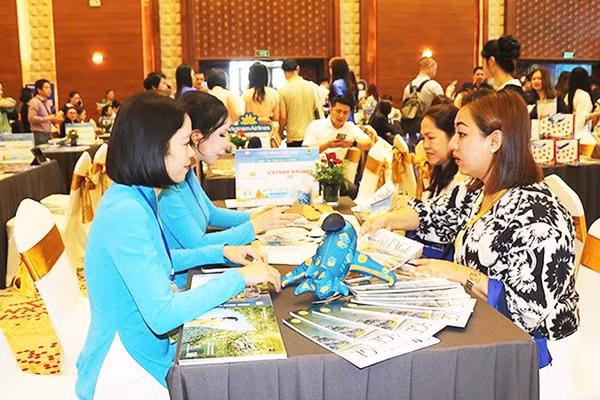 Du khách quốc tế tìm hiểu các tour du lịch của Gia Lai để tham gia trải nghiệm.