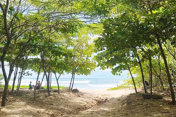 Bờ biển Playa Guiones được phủ bóng cây xanh. Ảnh: THE GUARDIAN