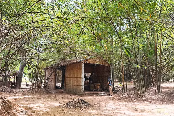 Không gian làng tre Phú An.