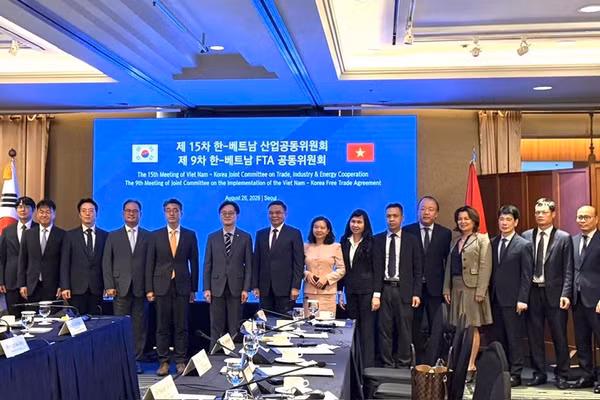Đại biểu hai nước tham dự Kỳ họp lần thứ 15 Ủy ban hỗn hợp về hợp tác thương mại, công nghiệp và năng lượng Việt Nam-Hàn Quốc chụp ảnh kỷ niệm. (Ảnh: Đại sứ quán Việt Nam tại Hàn Quốc cung cấp)