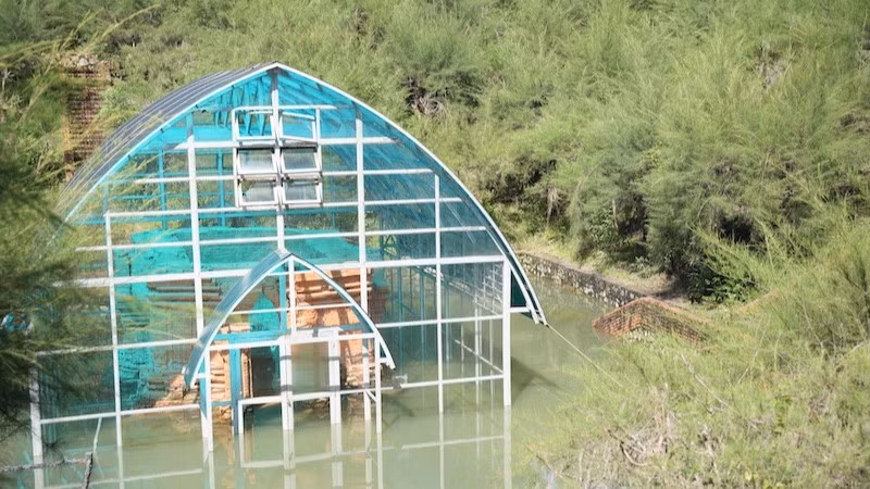 Tháp Chăm Phú Diên đã bị bị ngập nước kéo dài.
