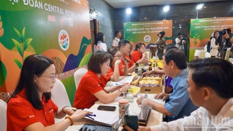 Đội ngũ thu mua của Central Retail Việt Nam đã trực tiếp kết nối 1-1 với khoảng 40 doanh nghiệp, hợp tác xã, cơ sở sản xuất tỉnh Gia Lai.