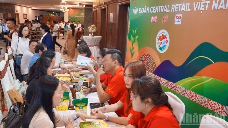 ndo_br_2-dong-dao-doanh-nghiep-hop-tac-xa-cua-tinh-gia-lai-tham-gia-ket-noi-voi-he-thong-sieu-thi-go-5101.jpg