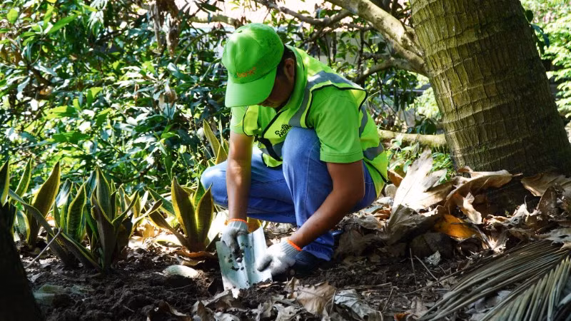 Các tình nguyện viên chuẩn bị quy trình trồng cây và gieo giống cây thực phẩm từ sáng kiến Tái chế rác thải thực phẩm.