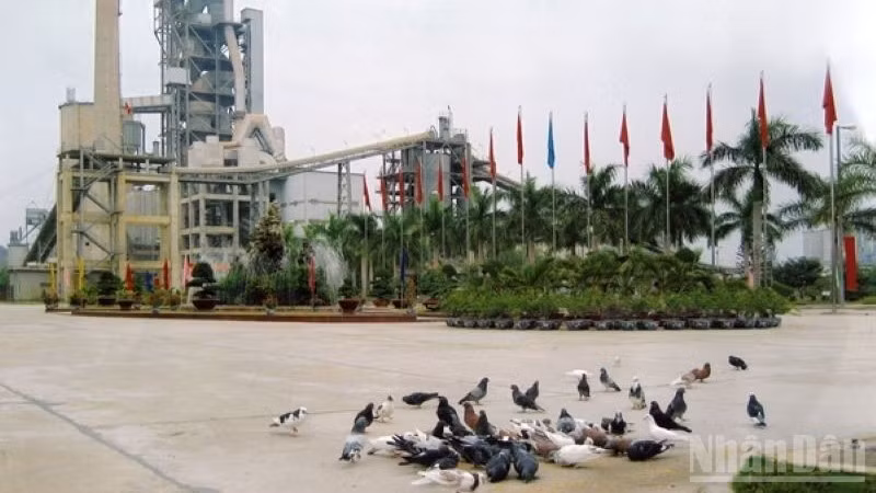 Giai đoạn 2025-2030, VICEM định hướng tập trung thi đua chuyển đổi số toàn diện, đổi mới quản trị doanh nghiệp nhà nước theo hướng hiện đại, minh bạch, hiệu quả; phát triển "xi-măng xanh, xi-măng giảm carbon",...