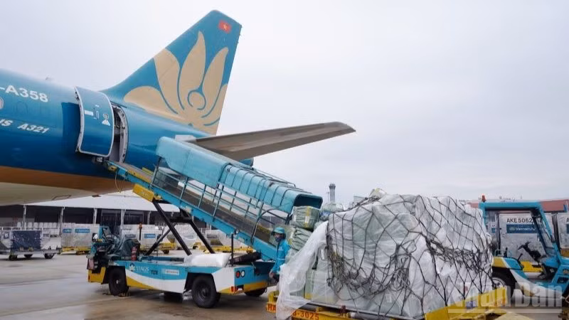 ndo_br_3-viec-xanh-hoa-cac-cua-ngo-van-tai-khong-chi-nham-giam-phat-thai-ma-con-gop-phan-nang-cao-hieu-qua-van-hanh-cua-he-thong-logistics-va-giam-chi-phi-nen-cua-nen-kinh-te-1698.jpg