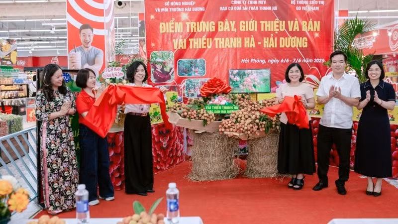Các đại biểu thực hiện nghi thức cắt băng khai trương, mở bán sản phẩm vải thiều Thanh Hà tại hệ thống GO!.