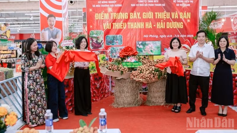ndo_br_1-cac-dai-bieu-thuc-hien-nghi-thuc-cat-bang-khai-truong-mo-ban-san-pham-vai-thieu-thanh-ha-tai-he-thong-go.jpg