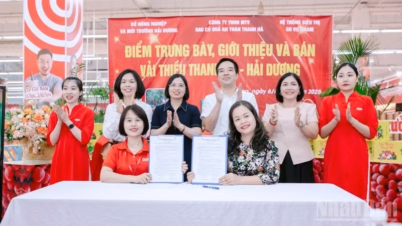 ndo_br_2-ky-ket-bien-ban-ghi-nho-hop-tac-giua-cong-ty-cong-ty-tnhh-mtv-rau-cu-qua-thanh-ha-va-dai-dien-he-thong-go.jpg