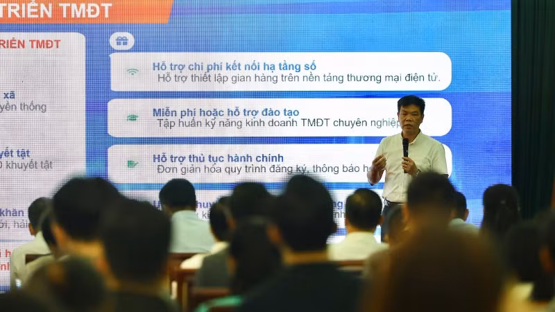 Các đại biểu tham dự hội nghị. 