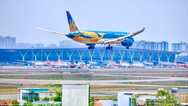 Trong số 7 hãng hàng không Việt Nam đang kinh doanh vận tải hàng không thương mại thường lệ, Vietnam Airlines là hãng bay duy nhất có cổ đông là một hãng hàng không nước ngoài.
