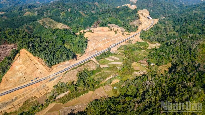 ndo_br_dong-dang-tra-linh.jpg