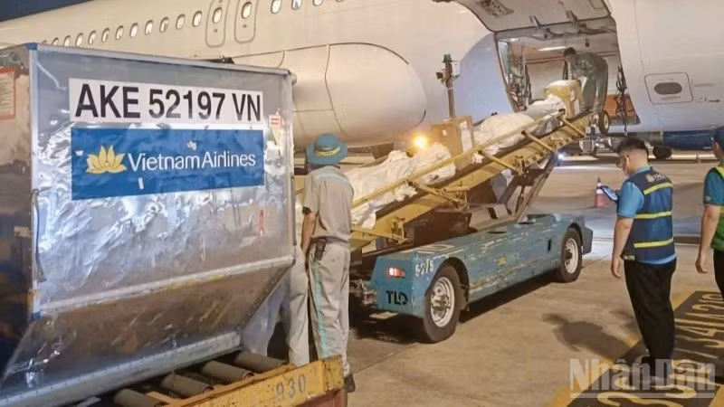 ndo_br_3-vietnam-airlines-uu-tien-tai-chat-xep-hang-hoa-ho-tro-vung-mua-lu-mien-trung-de-van-chuyen-nhanh-nhat-co-the-kip-thoi-den-duoc-dong-bao-vung-lu-lut-bi-anh-huong-1202.jpg