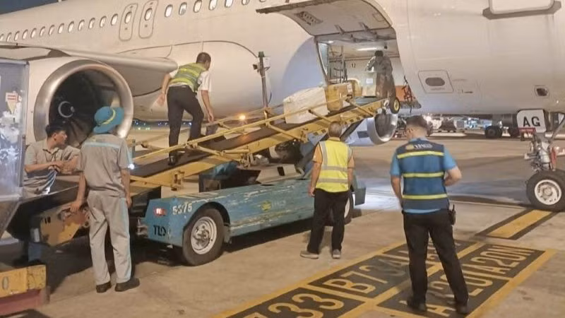4-voi-mang-duong-bay-rong-va-so-huu-doi-tau-bay-than-rong-cung-kinh-nghiem-van-chuyen-hang-hoa-ho-tro-truoc-day-nen-vietnam-airlines-co-the-trien-khai-thuc-hien-rat-nhanh-chong-4784.jpg