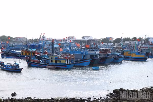 Tỉnh Khánh Hòa đang quản lý hơn 5.120 tàu cá, tuy nhiên số lượng tàu cá nhỏ, hành nghề khai thác hải sản gần bờ còn khá nhiều. (Ảnh: NGUYỄN TRUNG)