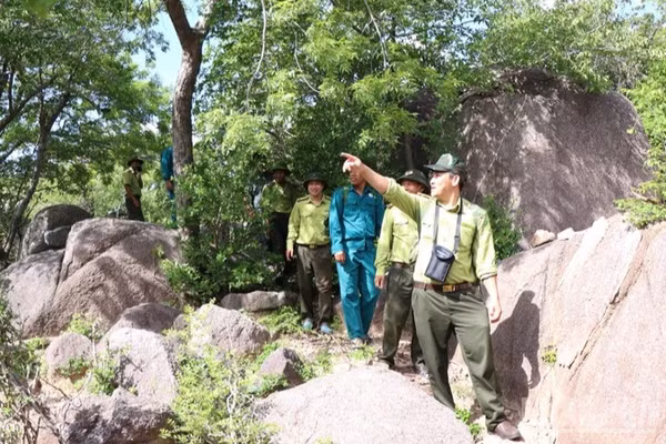 Lực lượng giữ rừng ở Vườn quốc gia Núi Chúa-Phước Bình, tỉnh Khánh Hòa tổ chức đi tuần tra vùng rừng do đơn vị quản lý. (Ảnh: NGUYỄN TRUNG)