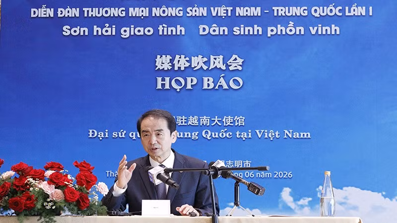 ha-vi-2.jpg