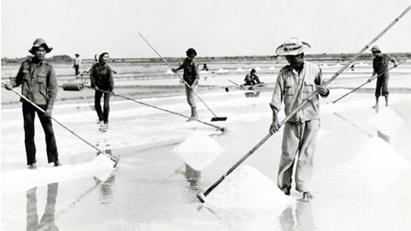 Thanh niên xung phong Thành phố tham gia lao động sản xuất trong những ngày đầu thành lập. (Ảnh: Tư liệu Thanh niên xung phong)