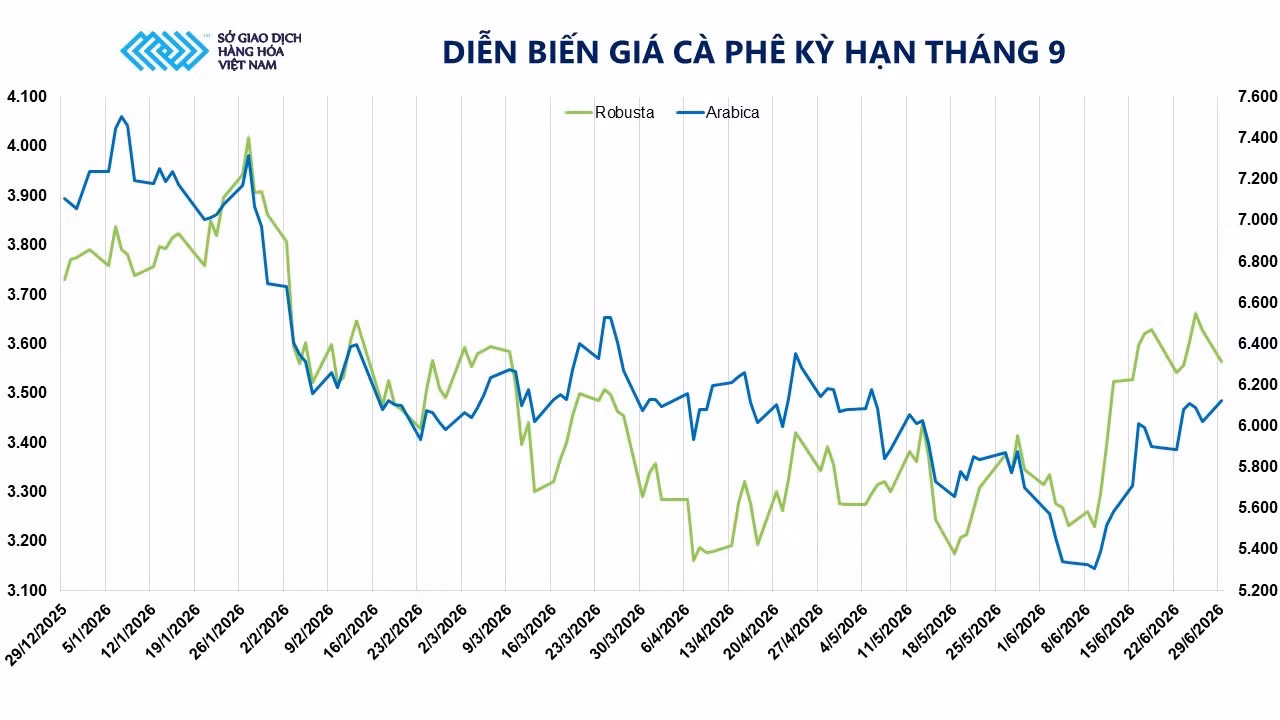anh-4-dien-bien-gia-ca-phe-ky-han-thang-9.jpg