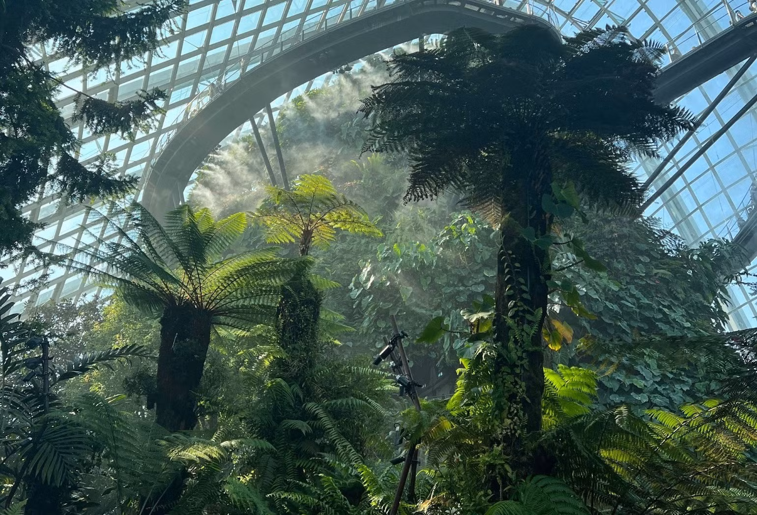 Không gian xanh tại Gardens by the Bay hướng tới bảo vệ môi trường (Ảnh: Khánh Linh)