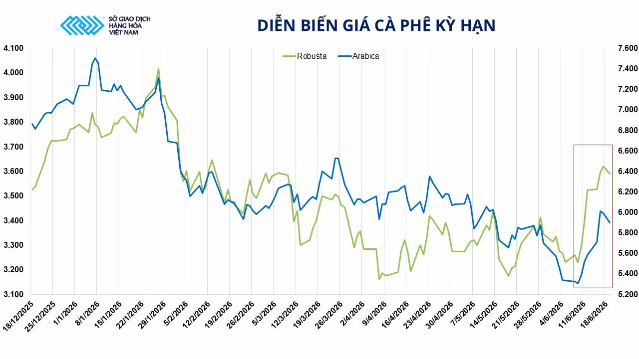 anh-3-dien-bien-gia-ca-phe-ky-han.png