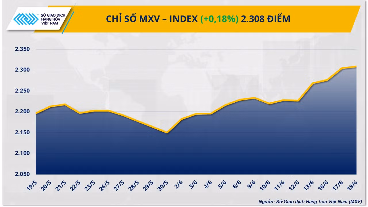 mxv-index.png
