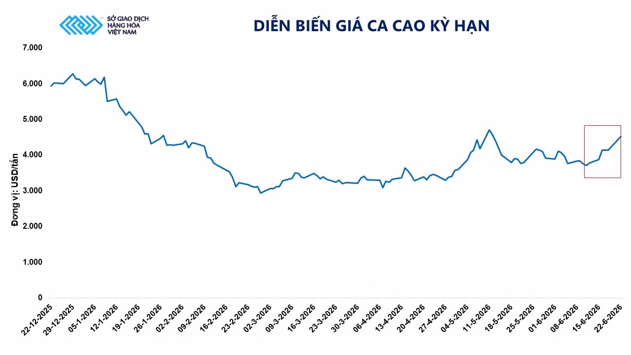 anh-2-dien-bien-gia-ca-cao-ky-han.jpg