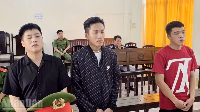 ndo_bl_3-bi-cao.jpg