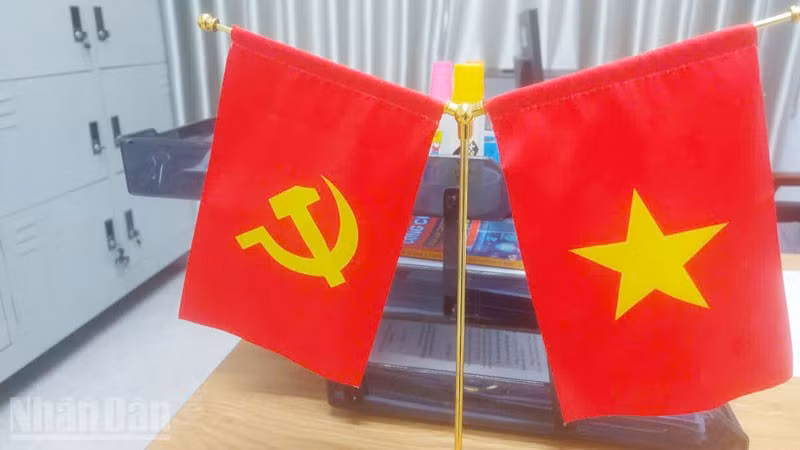 ndo_bl_8.jpg