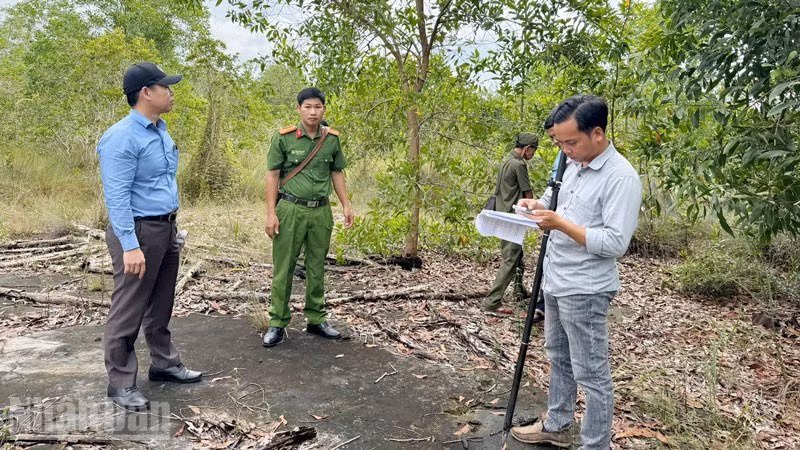 Lực lượng chức năng đặc khu Phú Quốc kiểm tra hiện trạng đất rừng phòng hộ bị bao chiếm.