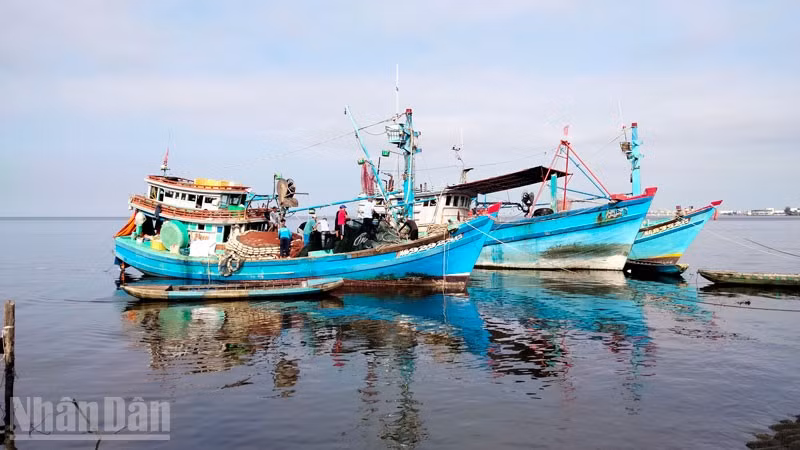Tàu đánh bắt thủy sản ở An Giang.