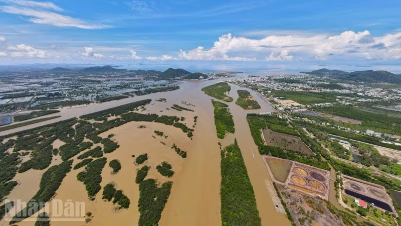 Khu vực đầm Đông Hồ, bị lấn chiếm trái phép mà Báo Nhân Dân nhiều lần phản ánh.