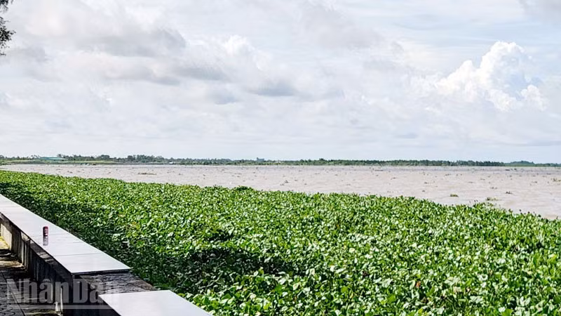 ndo_bl_2-2098.jpg