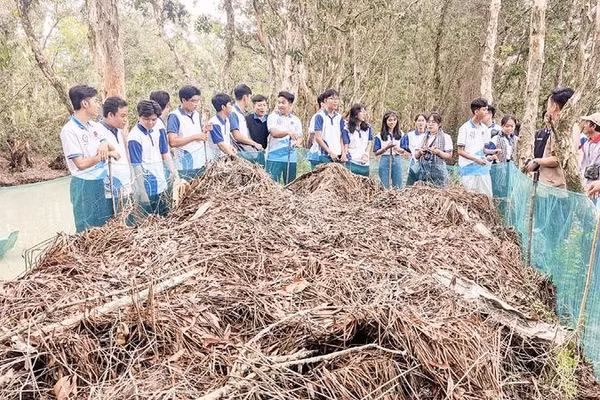 Du khách tham gia trải nghiệm dỡ chà chuột.