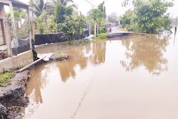 Triều cường kết hợp mưa lớn gây sạt lở một đoạn giao thông trên tuyến kênh 28, nước tràn vào bên trong nhà và vườn cây ăn trái của Nhân dân ở xã Hội Cư, tỉnh Đồng Tháp.