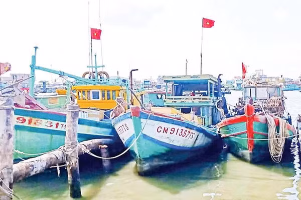 Tàu cập bến.