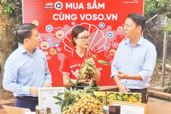 Livestream quảng bá nhãn lồng ngay tại vùng trồng xã Tân Hưng, tỉnh Hưng Yên.