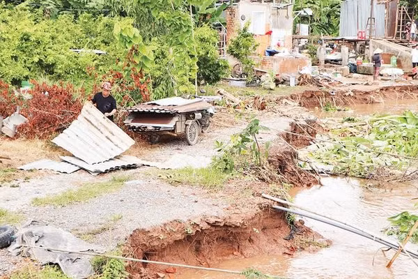 Sạt lở đất cồn bên bờ sông Hậu.