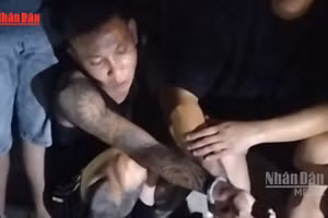 [Video] Bắt giữ 94 đối tượng, thu giữ số lượng lớn ma túy và các tang vật có liên quan