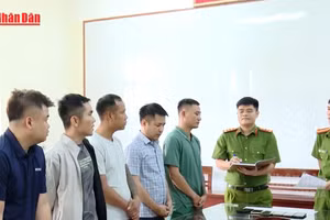 [Video] Triệt phá đường dây cá độ bóng đá hơn 900 tỷ đồng