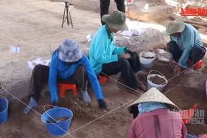 [Video] Phát hiện nhiều di chỉ, cổ vật giá trị sau khai quật Thành cổ Châu Sa