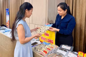 Gian hàng giới thiệu sản phẩm thủy sản phục vụ thị trường trong nước của tỉnh Vĩnh Long. (Ảnh: QUYÊN LƯU)