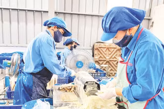 Hoạt động sản xuất tại Công ty TNHH Kẻ Gỗ trong Khu công nghiệp Thanh Bình.