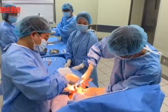 [Video] Việt Nam lần đầu tiên ghép tế bào gốc bất đồng nhóm máu thành công bằng kỹ thuật dung hòa miễn dịch 