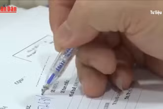 [Video] TP Hồ Chí Minh: Hơn 200 thủ tục hành chính lĩnh vực tài chính được đơn giản hóa