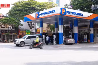 [Video] Dự kiến từ 1/1/2026 sẽ bắt đầu sử dụng xăng E10